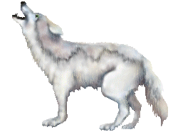 WOLF.GIF (16K)
